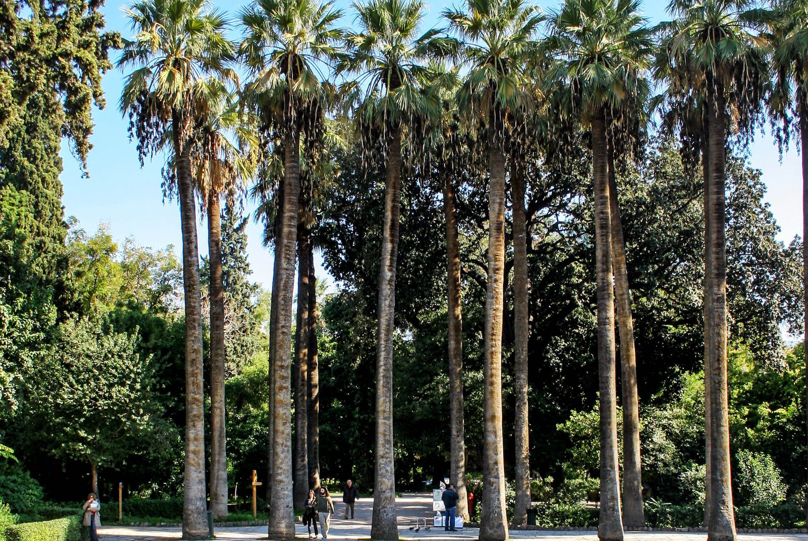 National Gardens: Athens’ green secret